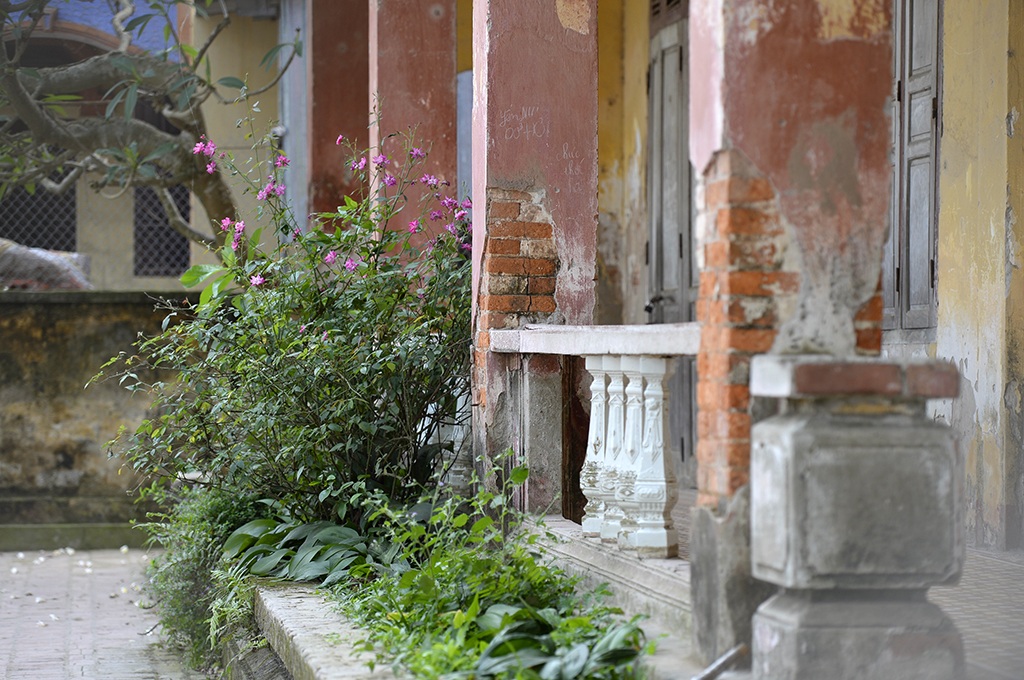 Nhà nào cũng có một khoảng vườn mướt xanh, rộng rãi. Ngay cả hoa cỏ mọc dại bên đường, nơi hiên nhà... cũng tràn đầy vẻ hồn nhiên, mộc mạc.