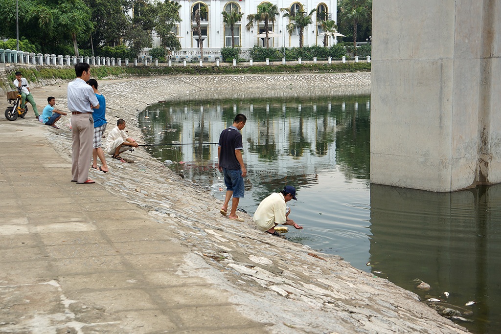 
Dù các chết nhiều, nhưng một số người vẫn tiếp tục ra hồ câu cá.
