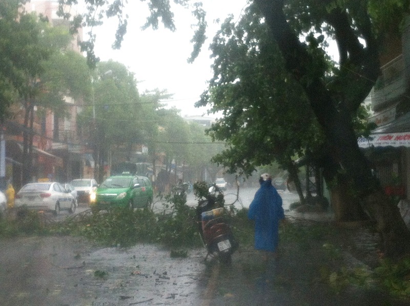 
Đường Đống Đa
