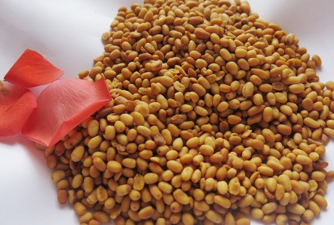 Món đẹp, món ngon từ cây di sản Việt Nam ở Cù Lao Chàm - 4