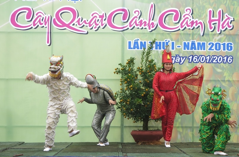 Ngày hội quật cảnh lần đầu tiên được tổ chức ở Hội An trước Tết Bính Thân 2016