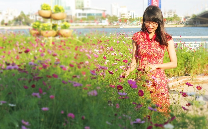 Giới trẻ Đà thành "khoe" ảnh Tết sớm với đường hoa xuân - 8