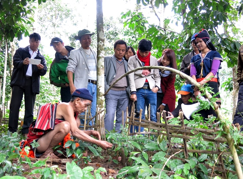 Đồng bào săn bẫy để có thịt rừng làm món za zá