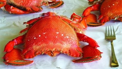 Cua huỳnh đế: Ăn một thành hai - 1 Cua huỳnh đế