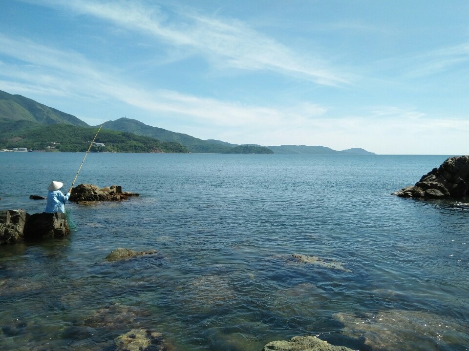 Khám phá thiên nhiên hoang sơ ở rạn Nam Ô - 6 Khám phá thiên nhiên hoang sơ ở rạn Nam Ô - 6