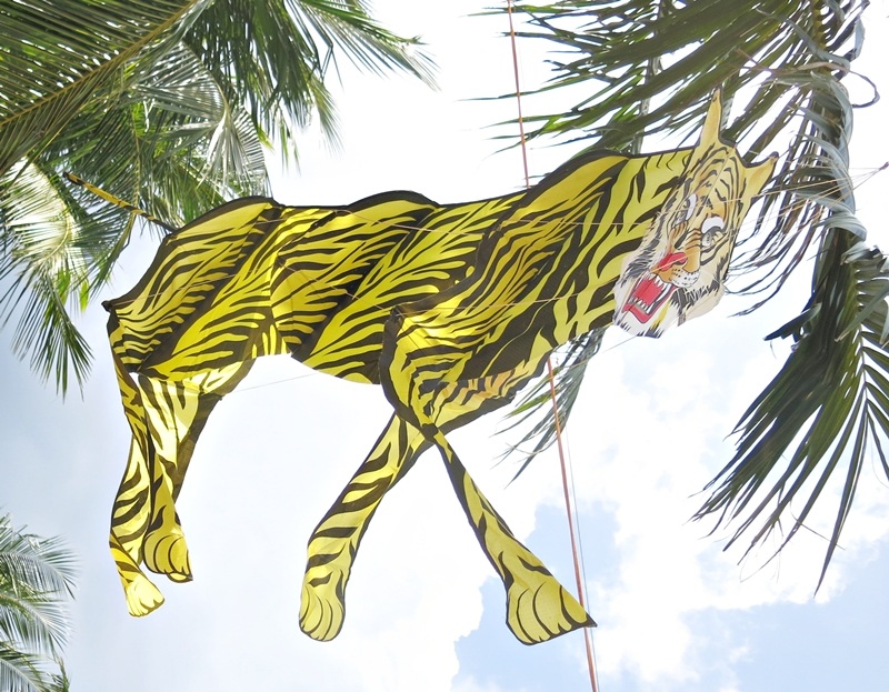 Ngắm trăm cánh diều bay giữa biển trời Đà Nẵng - 4