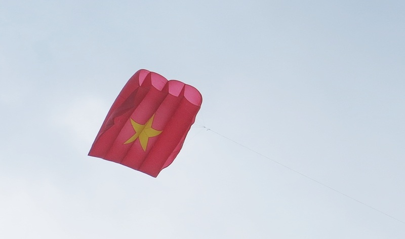 Ngắm trăm cánh diều bay giữa biển trời Đà Nẵng - 7