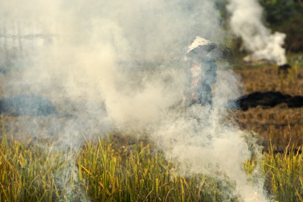 Những nông dân trong màn khói đốt rơm rạ khét lẹt.