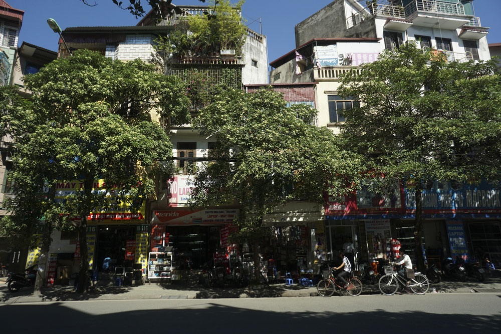 Hà Nội - những ô cửa nồng nàn hương hoa sữa - 8 Hà Nội - những ô cửa nồng nàn hương hoa sữa - 8