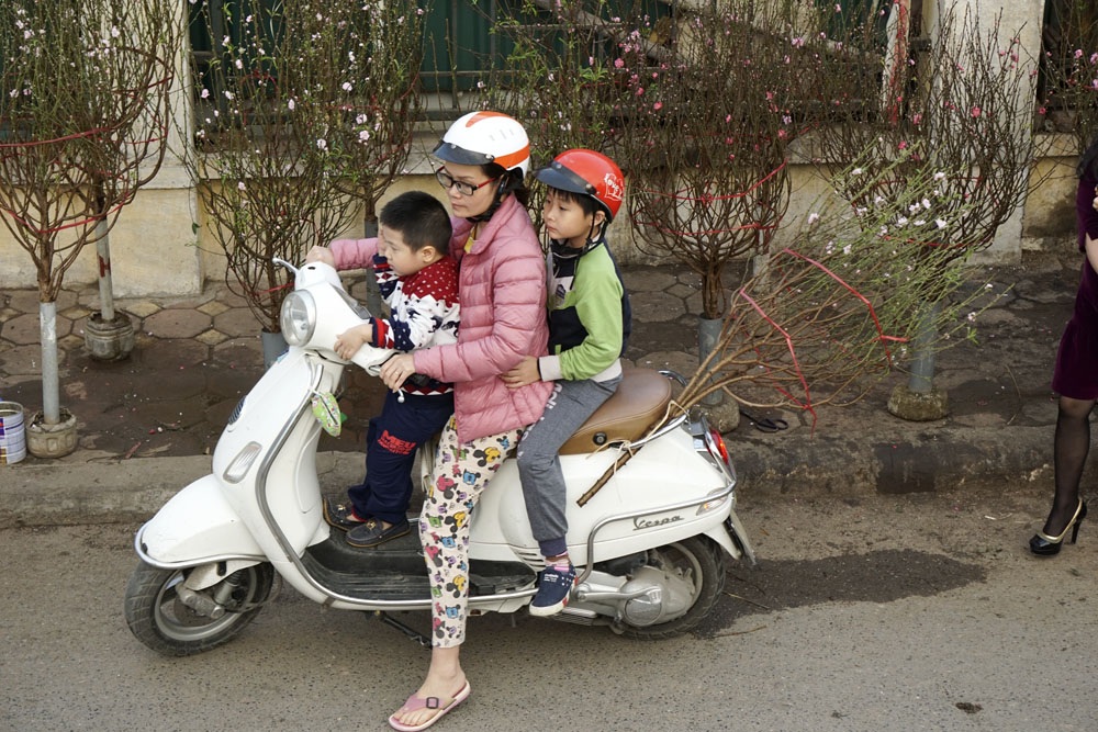 Chợ hoa Quảng An nhộn nhịp bán đào Tết - 11 Chợ hoa Quảng An nhộn nhịp bán đào Tết - 11