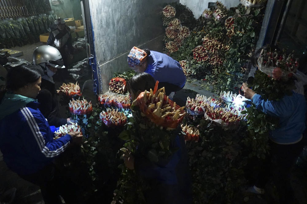 "Thợ lò" săn hoa đêm ở chợ đầu mối Nam Định - 8
Đa số người bán là những nông dân trồng hoa rồi vận chuyển bằng xe máy đến chợ bán, những cũng không hiếm chủ hoa lớn chở bằng ô tô.