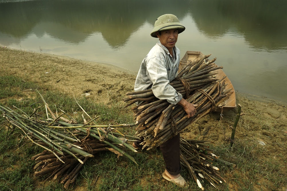 Có một Hạ Long thu nhỏ trong lòng Hà Nội - 6
Những người dân khi đấu thầu đất vùng núi rừng để chăn nuôi cũng gắn liền với trách nhiệm bảo vệ rừng. Người dân chỉ được lấy những cành củi nhỏ chứ không đươc phép chặt cây.