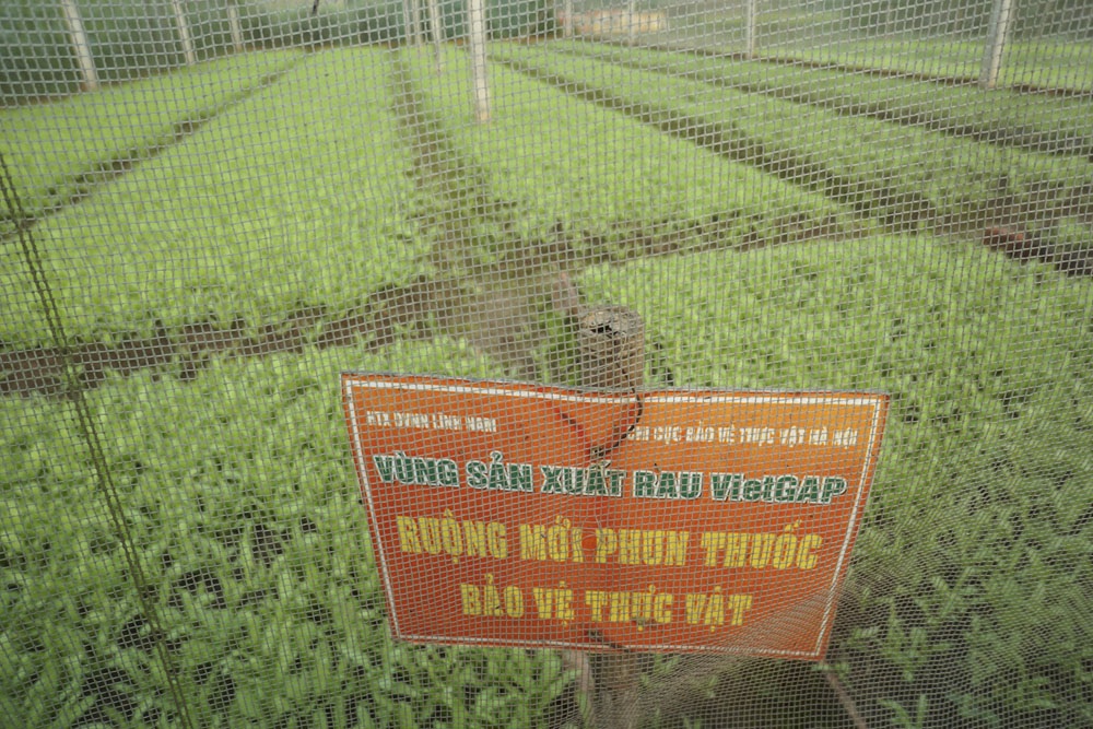 Ruộng rau sạch la liệt bao bì thuốc bảo vệ thực vật - 14 Lác đác có ruộng rau được cắm biển cảnh báo như thế này.