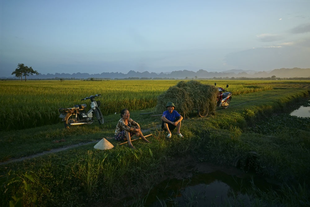 Mùa lúa chín vàng trên đồng ruộng thẳng cánh cò bay ở Hà Nội - 11
Là vùng bán sơn địa, từ đây có thể phóng tầm mắt đến tận những dãy núi của tỉnh Hoà Bình.