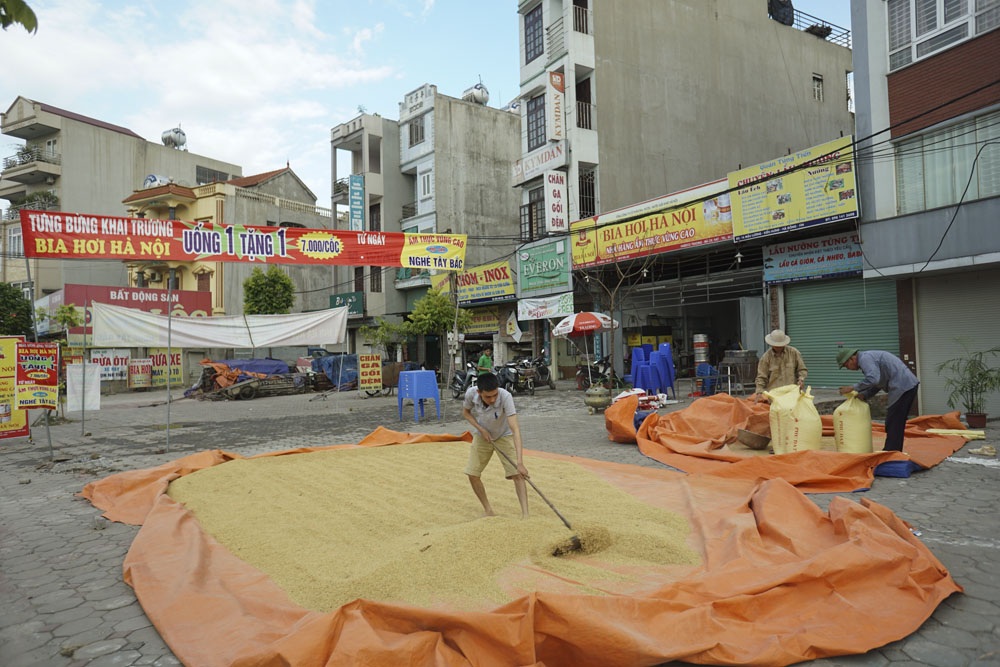 
Cảnh phơi thóc trên đường Mậu Lương, thuộc phường Kiến Hưng, trong dịp mùa vụ.

Trung bình những hộ gia đình còn trồng lúa ở Kiến Hưng có từ 2 - 4 sào lúa, nếu thời tiết thuận lợi và không có dịch bệnh, lượng gạo làm ra nếu chỉ để ăn là hoàn toàn dư thừa.
