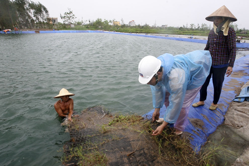 Huyện đầu bão trước "giờ G" - 7 Gia đình ông Dân có 4 hồ nuôi tôm, hồ nhỏ 1200 m2, hồ lớn 4000 m2, ông cho biết đang rất lo lắng trước cơn bão mạnh này và khả năng bị mất tôm do nước tràn vỡ đầm là cao.