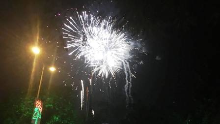 Pháo "nở hoa" trên bầu trời chào năm mới Bính Thân - 41 Pháo "nở hoa" trên bầu trời chào năm mới Bính Thân - 41