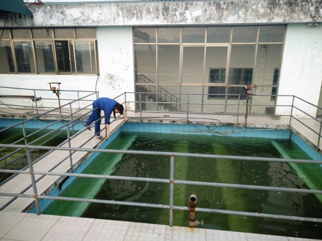 Dân “tập” dùng nước sạch không đảm bảo vì nước sông ô nhiễm - 2
Một công đoạn trong quá trình xử lý nước sạch