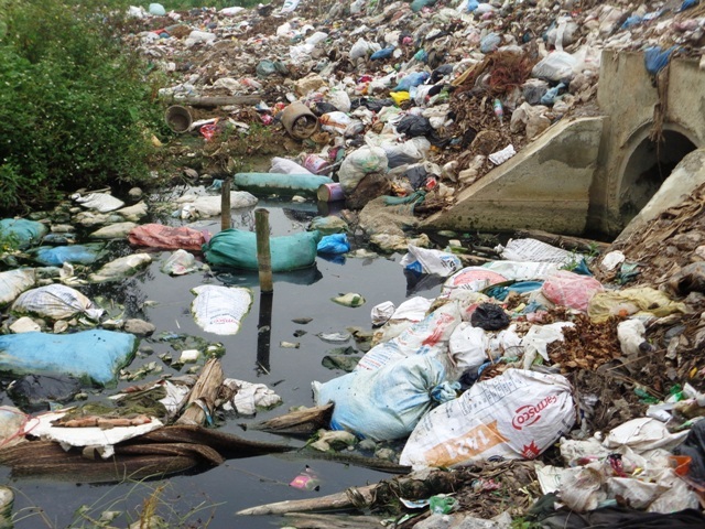 Ngoài mương nước những bao bì chứa xác lợn chết nằm lăn lóc khắp mọi nơi