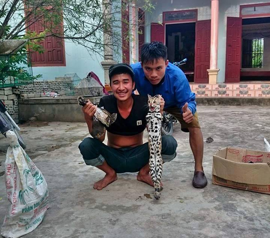 Phẫn nộ với hình ảnh thanh niên khoe cảnh giết hàng loạt khỉ trên Facebook - 5 Phẫn nộ với hình ảnh thanh niên khoe cảnh giết hàng loạt khỉ trên Facebook - 5