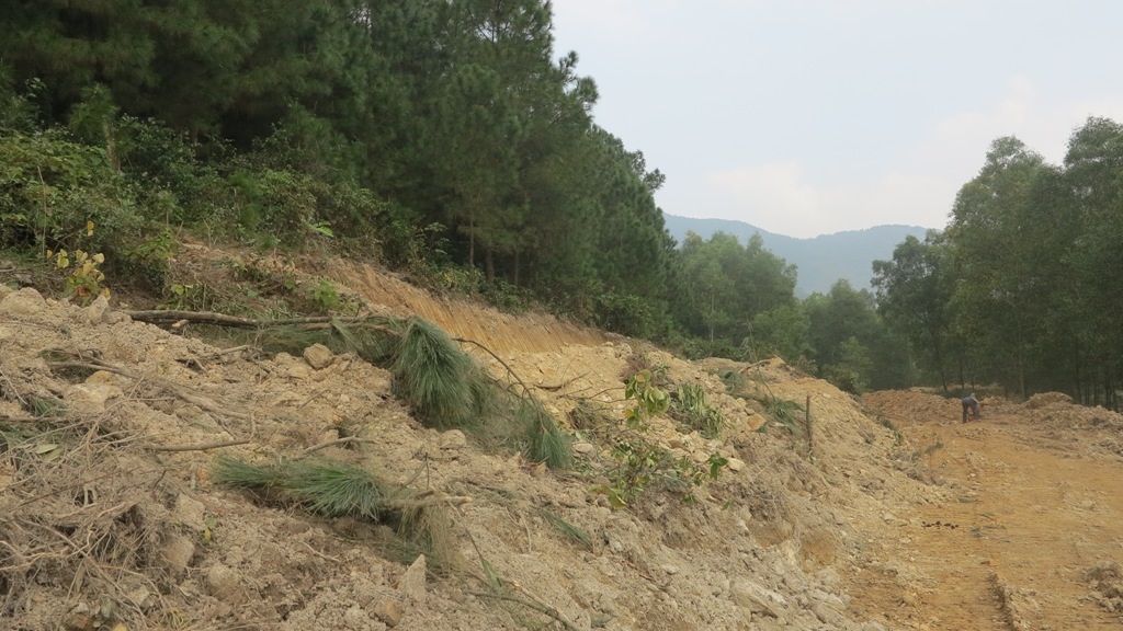 Ngay từ khi sự việc xảy ra, gia đình chị Huyền đã báo lên chính quyền địa phương nhưng do sự chậm trễ của cán bộ, ông Cương đã phá hoại hơn 1000 m2 đất lâm nghiệp của gia đình chị Huyền.