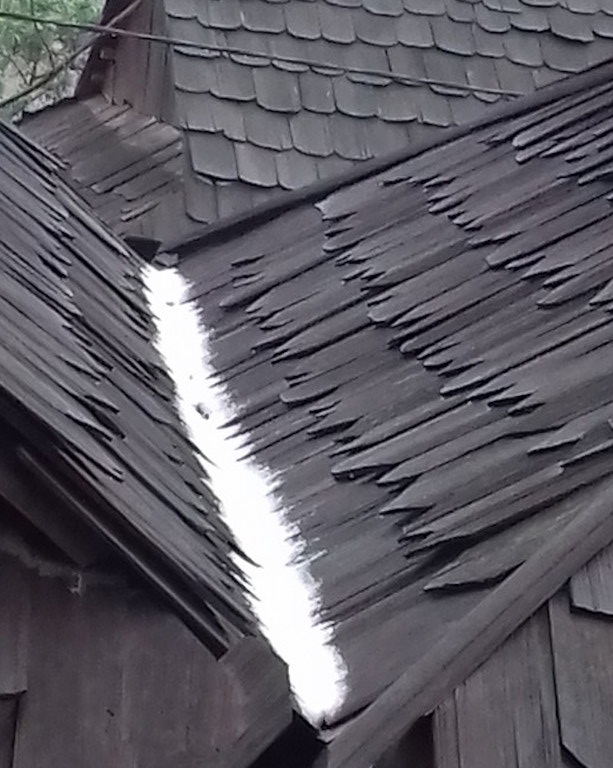 Tuyết phủ trắng miền Tây xứ Nghệ - 10 Một căn nhà gỗ sa mu nước đọng tuyết phủ trắng tại xã Tri Lễ.