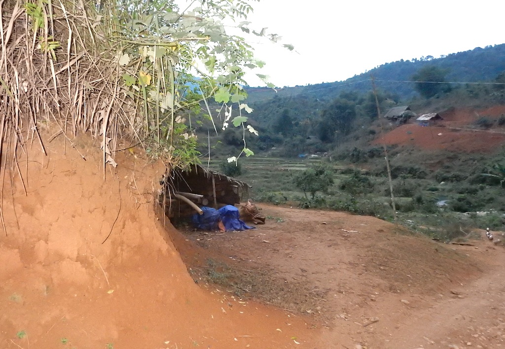 Một khu vực được phát hiện số gỗ được lấy về chất chồng với gỗ làm nhà nhằm che mắt cơ quan chức năng.