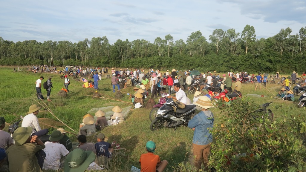 Hàng trăm người cùng dầm mình dưới nước kiếm cá "may" - 1