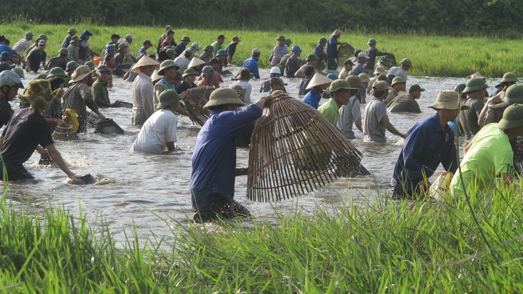 Dòng người dàn hàng nơm cá tạo thành một không khí vô cùng náo nhiệt.