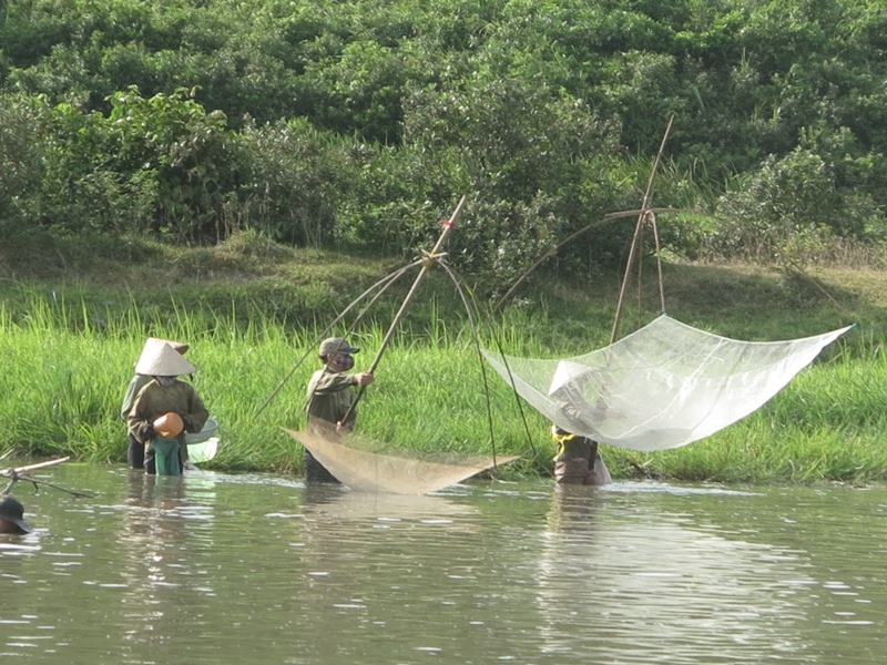Những người phụ nữ miệt mài cất vó.