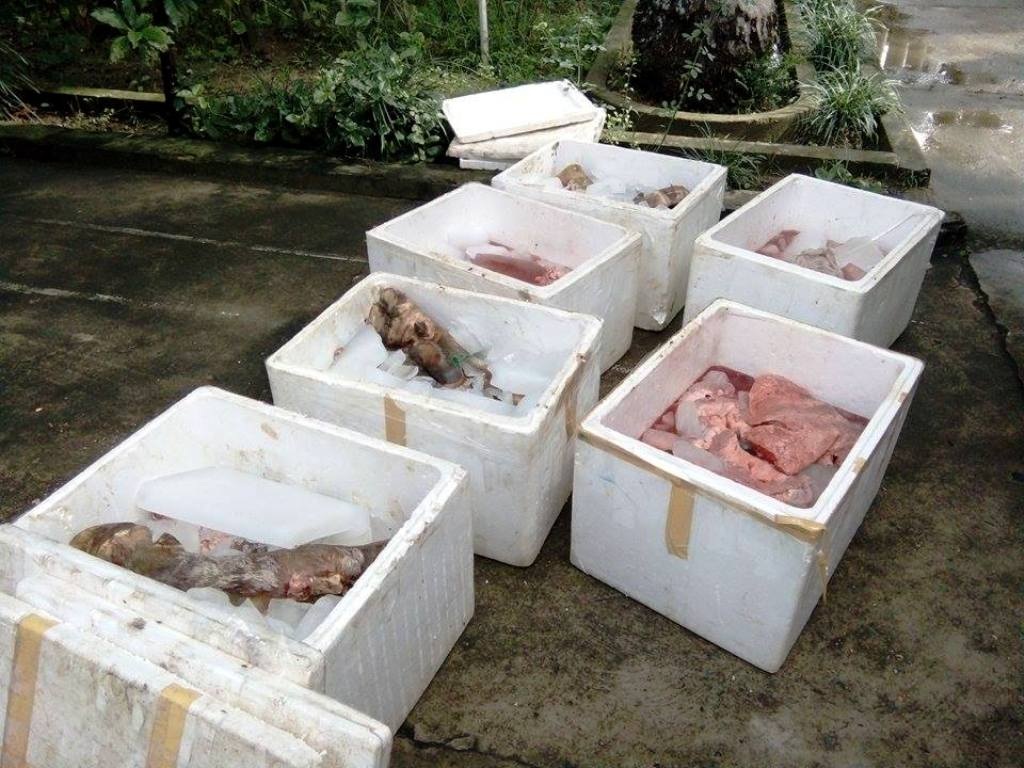 Thu giữ gần 200kg nội tạng động vật hôi thối chở trên xe khách - 2 Số nội tạng bị bắt giữ.