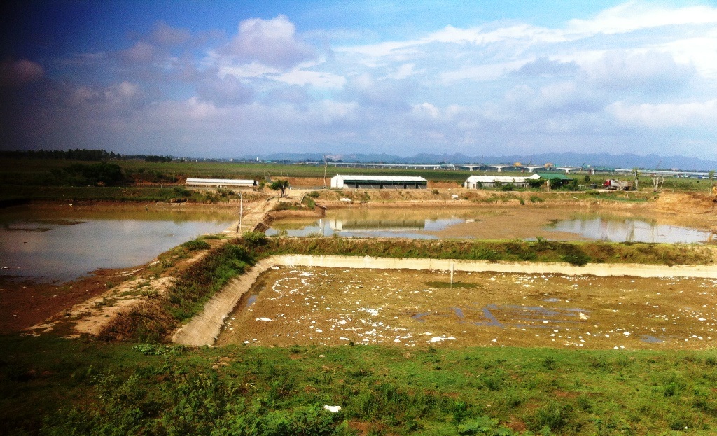 Nghệ An: Lợi dụng trang trại nuôi vịt đào đất bán cho... doanh nghiệp? - 8 Phía xa xa trong khu trang trại này có mấy đàn vịt trời.