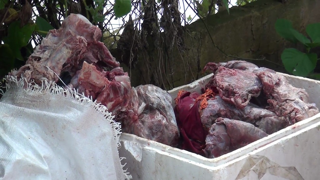 “Mật phục” bắt quả tang cơ sở tàng trữ gần 200 kg nội tạng, thịt bò bốc mùi - 1 “Mật phục” bắt quả tang cơ sở tàng trữ gần 200 kg nội tạng, thịt bò bốc mùi - 1
