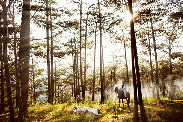 Những khoảnh khắc tuyệt đẹp cùng ảnh cưới rừng thông sẽ mang lại cho bạn sự lãng mạn, hoang dã và đầy phóng khoáng. Hãy đến với bức ảnh này để trải nghiệm cảm giác thăng hoa nhất.