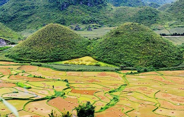 Mùa tam giác mạch Hà Giang đẹp nên thơ qua ống kính phượt thủ - 4 Núi Đôi Quản Bạ