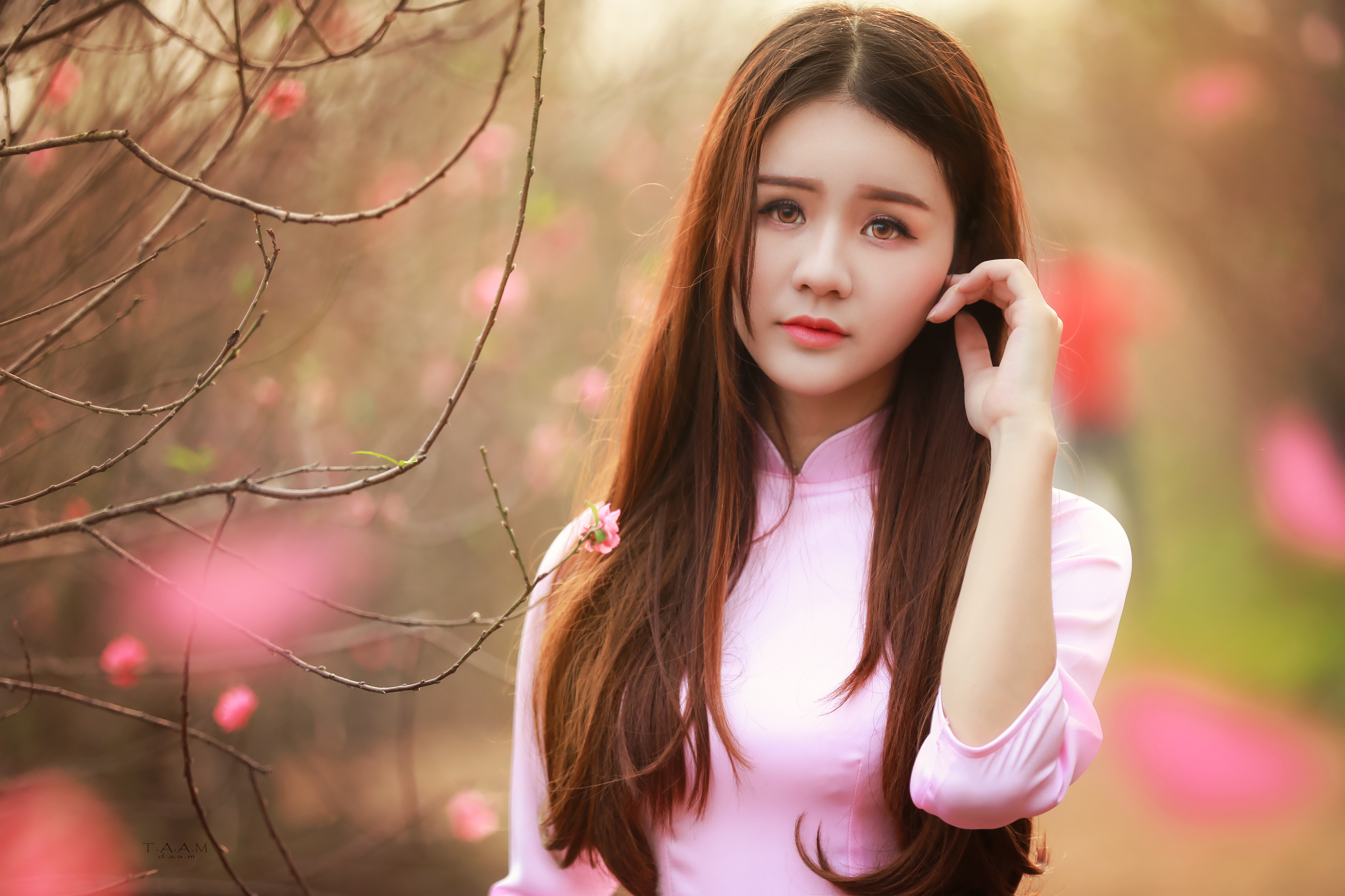 Thiếu nữ mộng mơ giữa vườn đào Nhật Tân - 1 Thiếu nữ mộng mơ giữa vườn đào Nhật Tân - 1