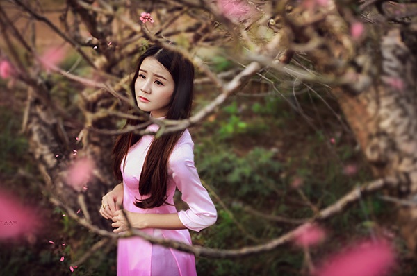 Thiếu nữ mộng mơ giữa vườn đào Nhật Tân - 5 Thiếu nữ mộng mơ giữa vườn đào Nhật Tân - 5