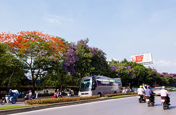 Bằng lăng tím, cánh sen hồng hút giới trẻ Hà thành ngày đầu Hè - 4 Bằng lăng tím, cánh sen hồng hút giới trẻ Hà thành ngày đầu Hè - 4