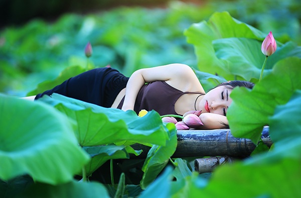 Trong các loài hoa nổi tiếng ở Hà Nội, Hồng yêu thích hoa sen nhất.