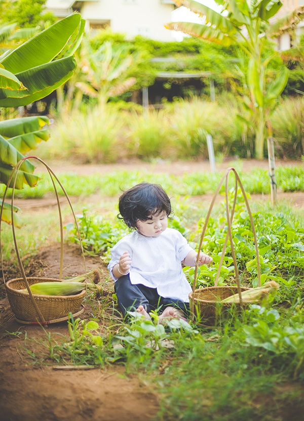Bé 1 tuổi đáng yêu trong bộ ảnh nông dân Nam bộ - 5 Gia đình bé My thuê một khu đất ở quận 2 để trồng rau sạch và nhân đó cùng con gái thực hiện bộ ảnh ngộ nghĩnh này.