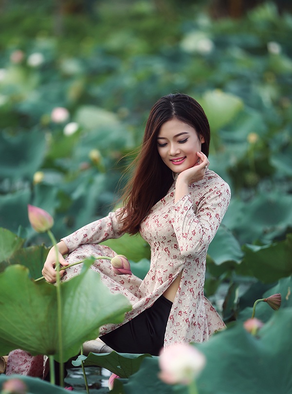 Thiếu nữ Hải Phòng e ấp bên hoa sen