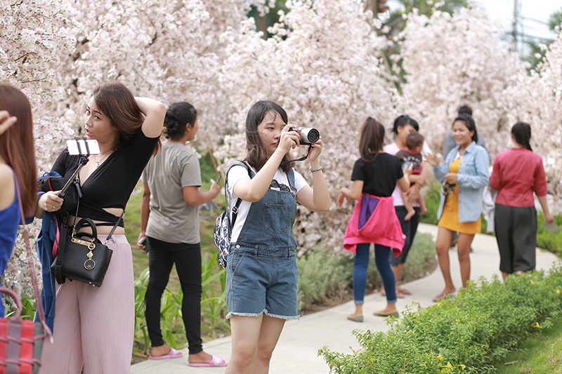 Điểm "check- in" mới hot nhất của giới trẻ Sài Gòn - 2 Vào ngày giữa tuần, bạn trẻ vẫn nườm nượp ghé thăm nơi đây để chụp ảnh, ngắm hoa.