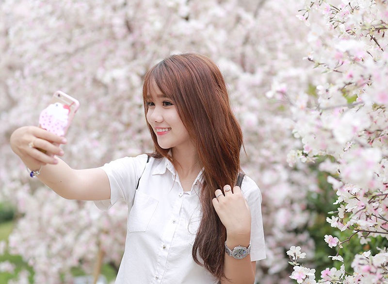 Điểm "check- in" mới hot nhất của giới trẻ Sài Gòn - 1 Các bạn trẻ rủ nhau đến đường hoa anh đào ở quận Bình Tân chụp ảnh check-in