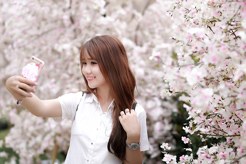 Nữ sinh tuổi 18 xinh xắn, hồn nhiên bên hoa anh đào - 9 Cô bạn rất thích sắc hoa anh đào Nhật Bản.