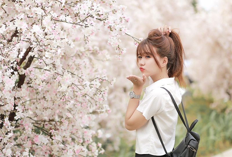 Nữ sinh tuổi 18 xinh xắn, hồn nhiên bên hoa anh đào - 5 Với vẻ ngoài xinh xắn, Hoàng có hàng ngàn người theo dõi trên mạng xã hội.