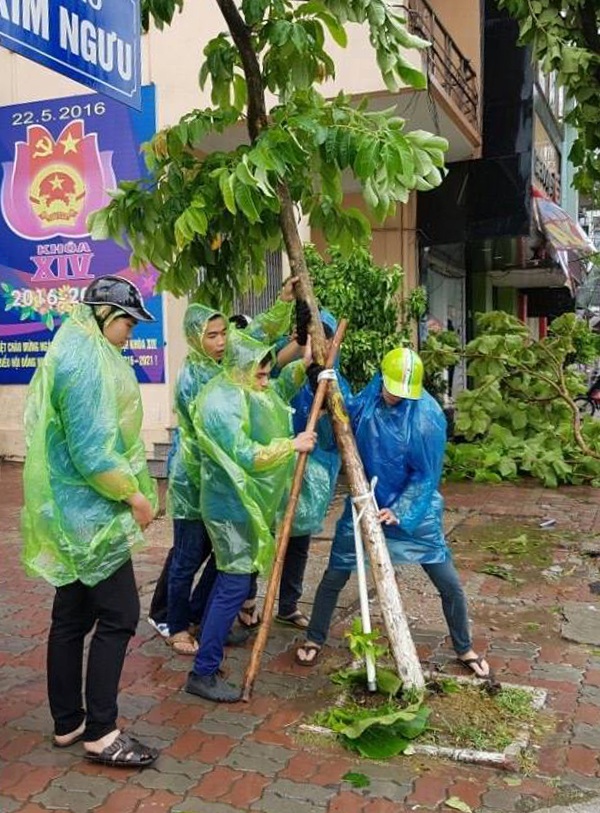 Thanh niên Thủ đô nỗ lực giúp dân dọn dẹp hậu quả bão số 1 - 1 Thanh niên thành phố Hà Nội ra quân, giúp dân trồng lại những cây nghiêng, vẹo vì gió bão trên đường Kim Ngưu