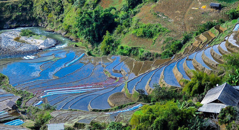 Thiên nhiên Việt Nam đẹp huyền ảo qua ống kính của 9x mê du lịch - 6 Mù Cang Chải mùa nước đổ.