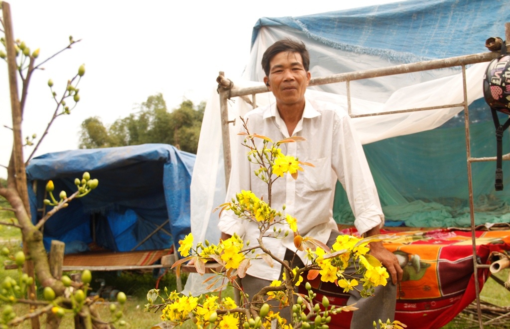 
Ông Phương thở dài vì mai nở sớm nên chưa bán được cây nào.
