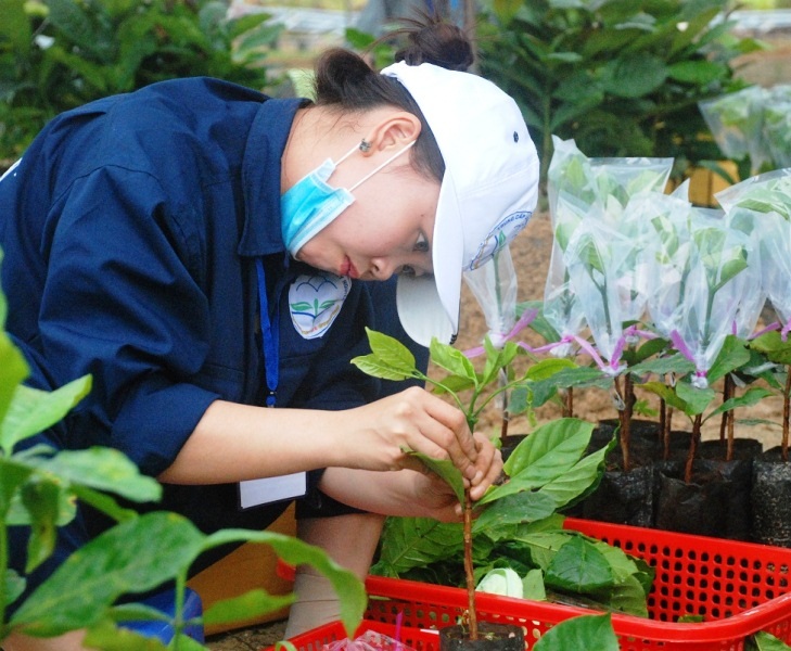 Bình Định: 73 thí sinh đoạt giải nhất trong Hội thi tay nghề ngành Nông nghiệp - 5 Thi ghép cây cà phê