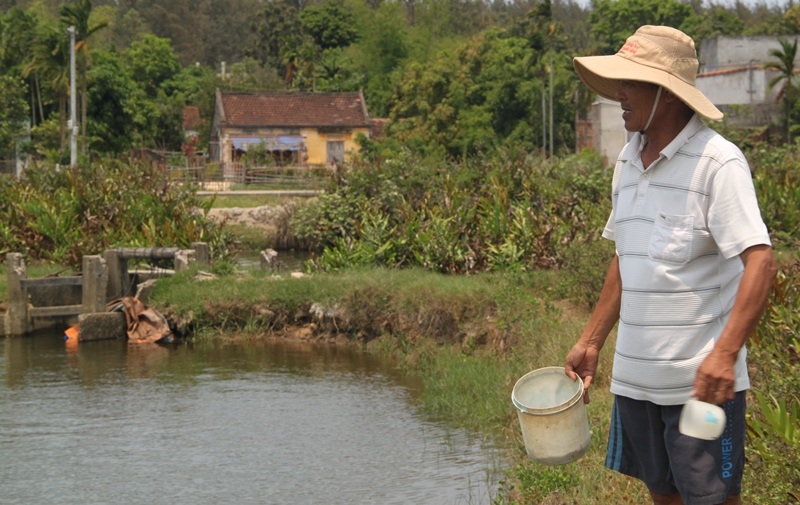 
Người nuôi tôm bên hồ tôm vừa thả được hơn 20 ngày, thấp thỏm lo nước mặn sẽ khiến tôm chết.
